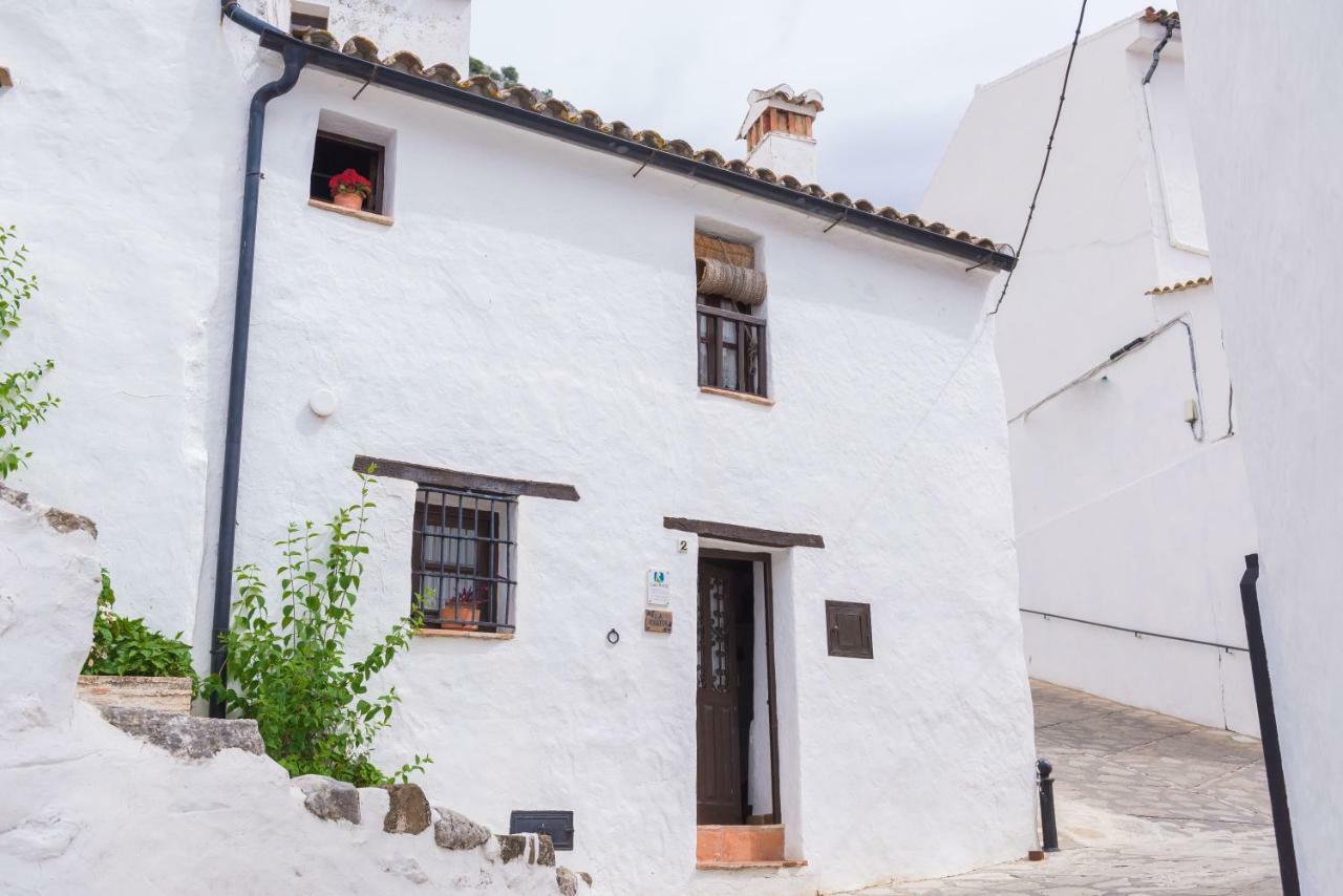 Maison d'hôtes Conjunto Rural Casa Victoria à Villaluenga Del Rosario Extérieur photo